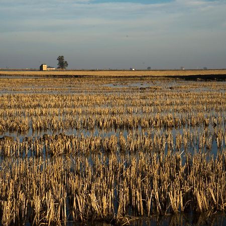 Mas Illa De Riu - Autentica Masia Del Delta Del Ebro Con Capacidad Para 20 Personas - Deltavacaciones Sant Jaume d'Enveja Zewnętrze zdjęcie