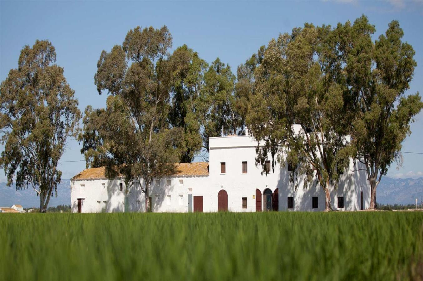 Mas Illa De Riu - Autentica Masia Del Delta Del Ebro Con Capacidad Para 20 Personas - Deltavacaciones Sant Jaume d'Enveja Zewnętrze zdjęcie