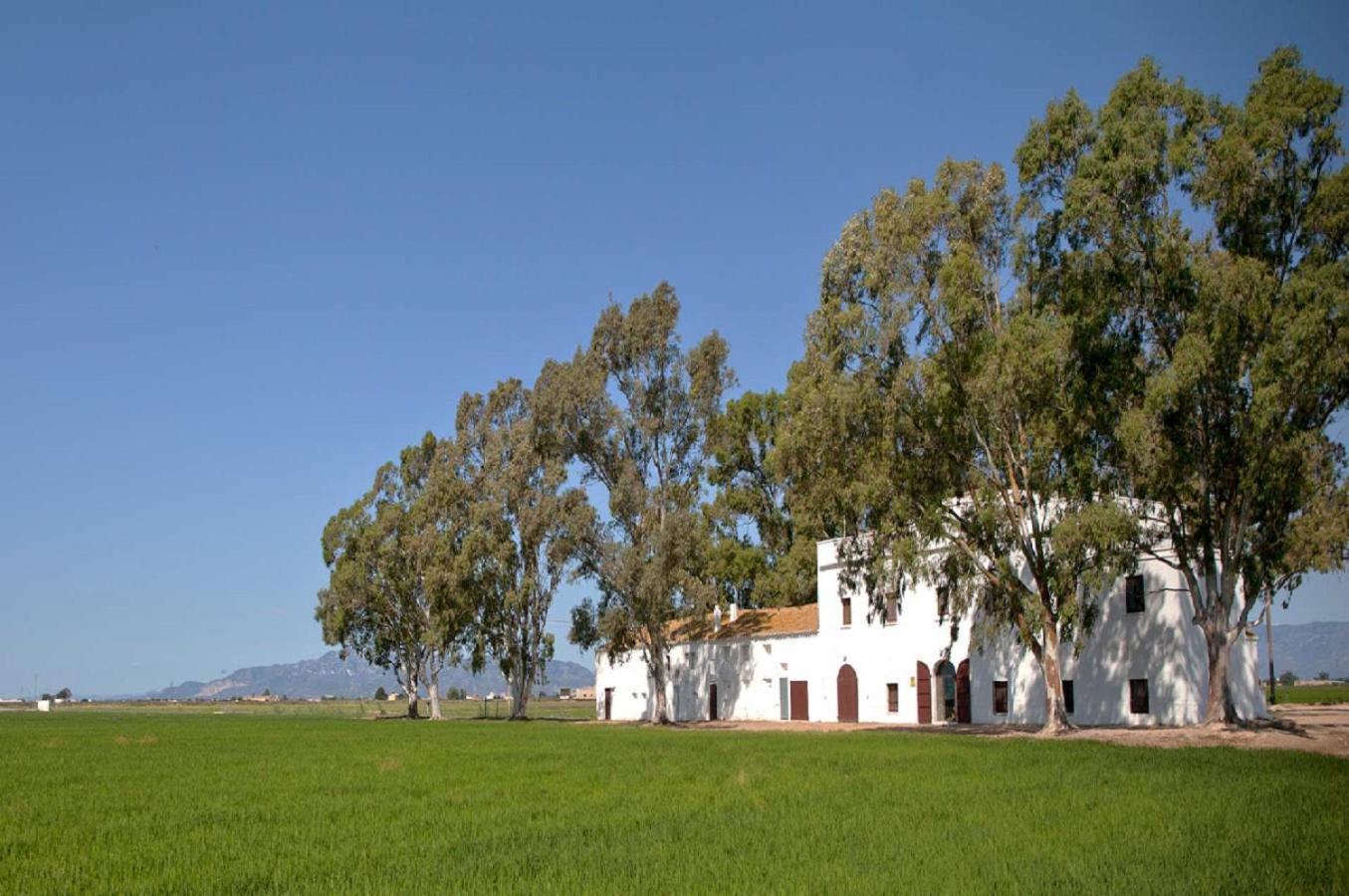 Mas Illa De Riu - Autentica Masia Del Delta Del Ebro Con Capacidad Para 20 Personas - Deltavacaciones Sant Jaume d'Enveja Zewnętrze zdjęcie