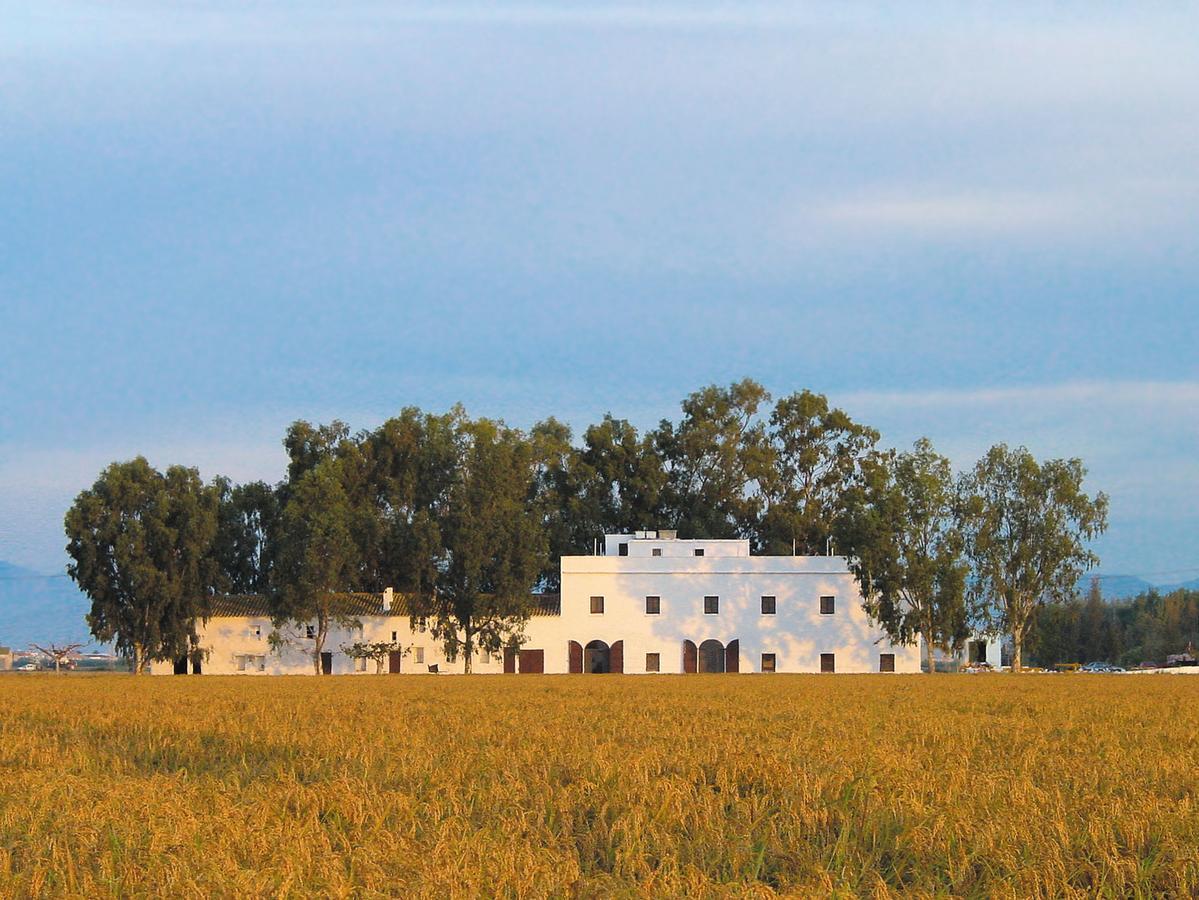 Mas Illa De Riu - Autentica Masia Del Delta Del Ebro Con Capacidad Para 20 Personas - Deltavacaciones Sant Jaume d'Enveja Zewnętrze zdjęcie