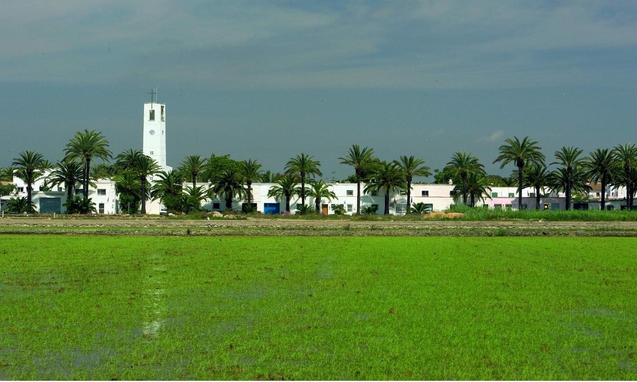 Mas Illa De Riu - Autentica Masia Del Delta Del Ebro Con Capacidad Para 20 Personas - Deltavacaciones Sant Jaume d'Enveja Zewnętrze zdjęcie