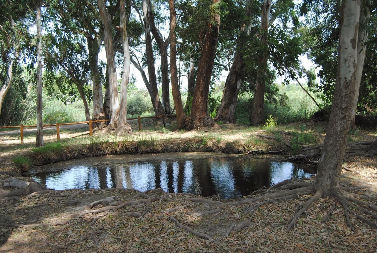 Mas Illa De Riu - Autentica Masia Del Delta Del Ebro Con Capacidad Para 20 Personas - Deltavacaciones Sant Jaume d'Enveja Zewnętrze zdjęcie