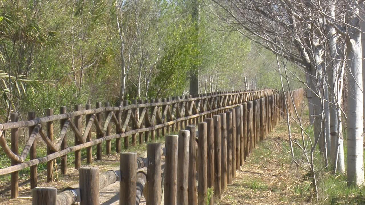 Mas Illa De Riu - Autentica Masia Del Delta Del Ebro Con Capacidad Para 20 Personas - Deltavacaciones Sant Jaume d'Enveja Zewnętrze zdjęcie
